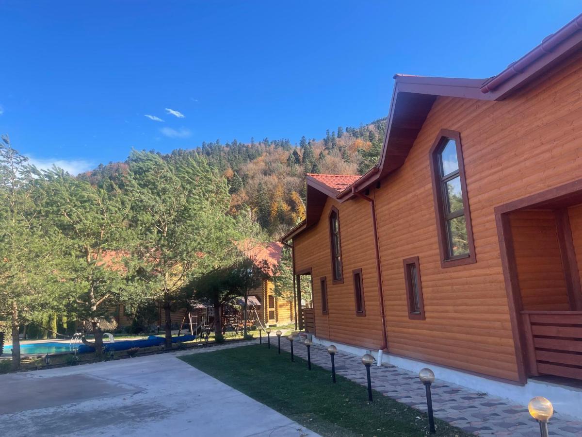 Villa Затишна De Luxe Mykulychyn Luaran gambar