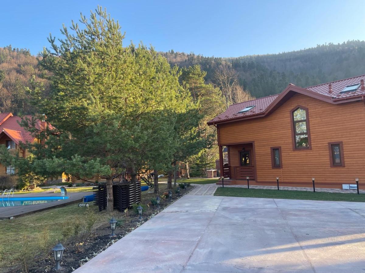 Villa Затишна De Luxe Mykulychyn Luaran gambar