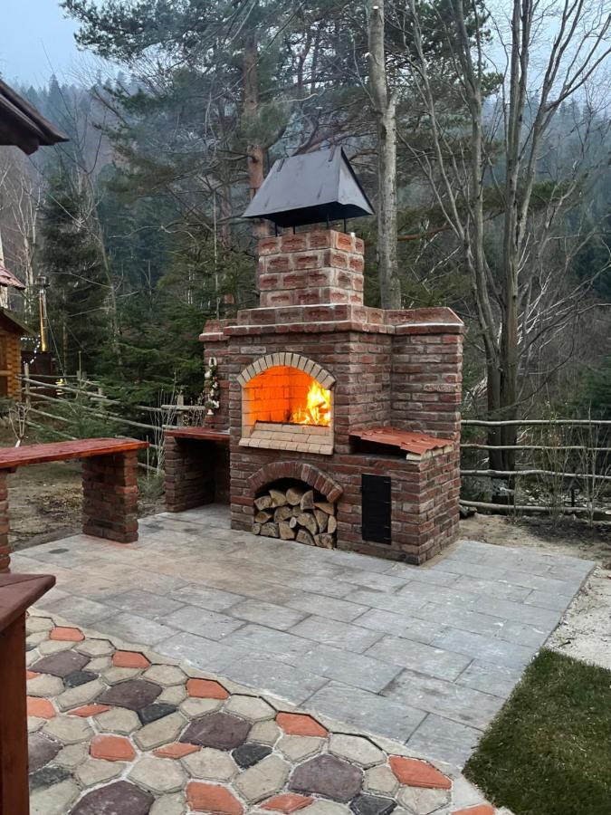 Villa Затишна De Luxe Mykulychyn Luaran gambar