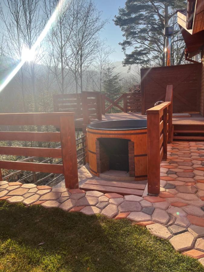 Villa Затишна De Luxe Mykulychyn Luaran gambar