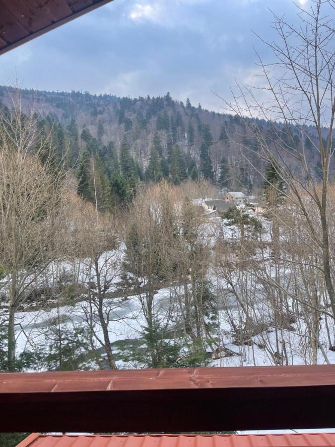 Villa Затишна De Luxe Mykulychyn Luaran gambar