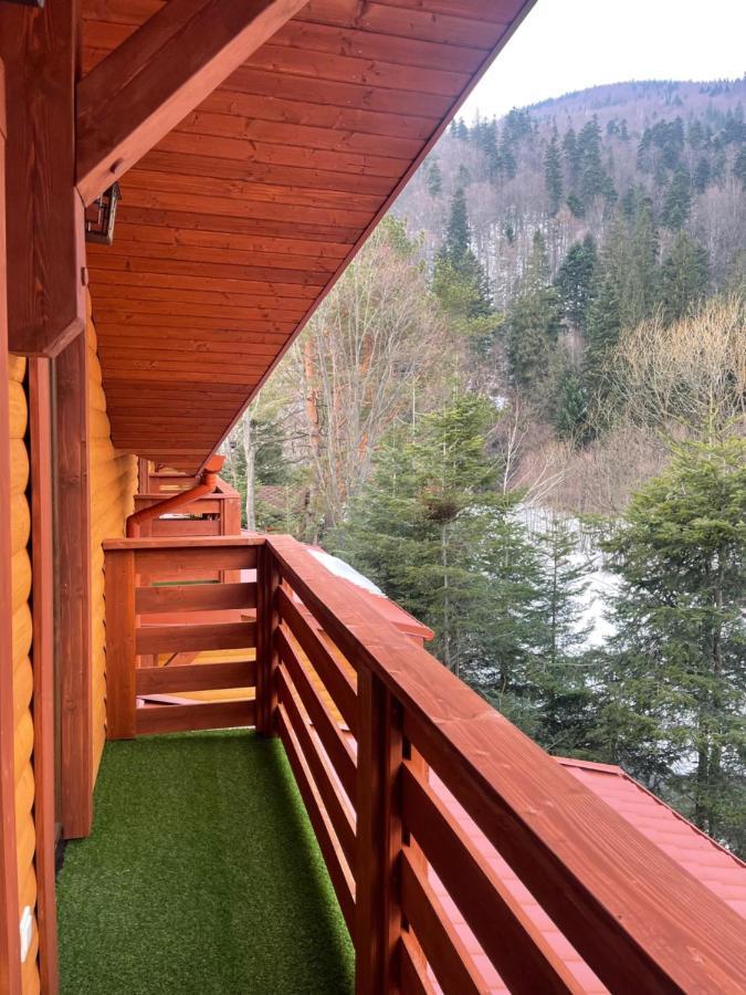 Villa Затишна De Luxe Mykulychyn Luaran gambar