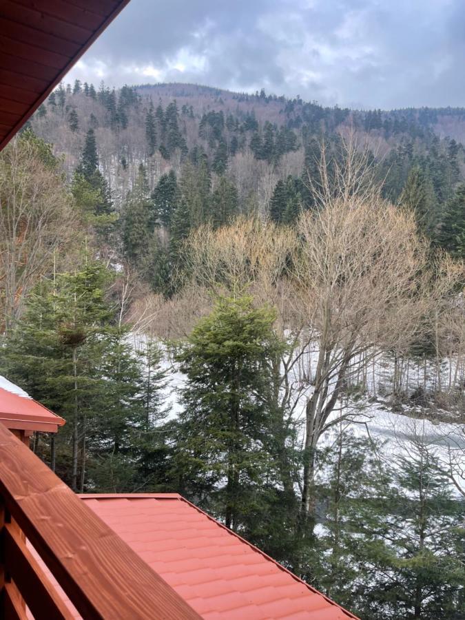 Villa Затишна De Luxe Mykulychyn Luaran gambar