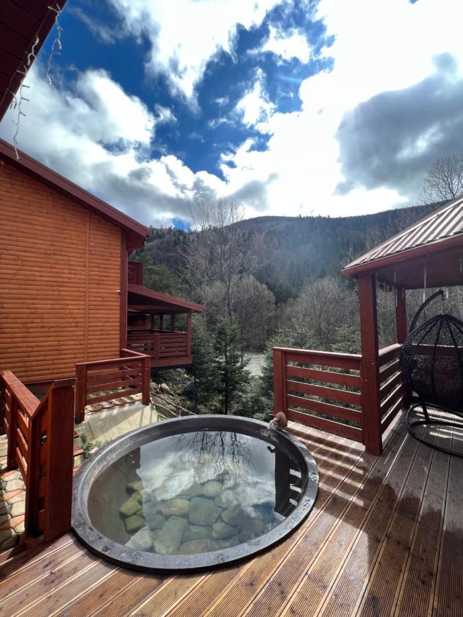 Villa Затишна De Luxe Mykulychyn Luaran gambar