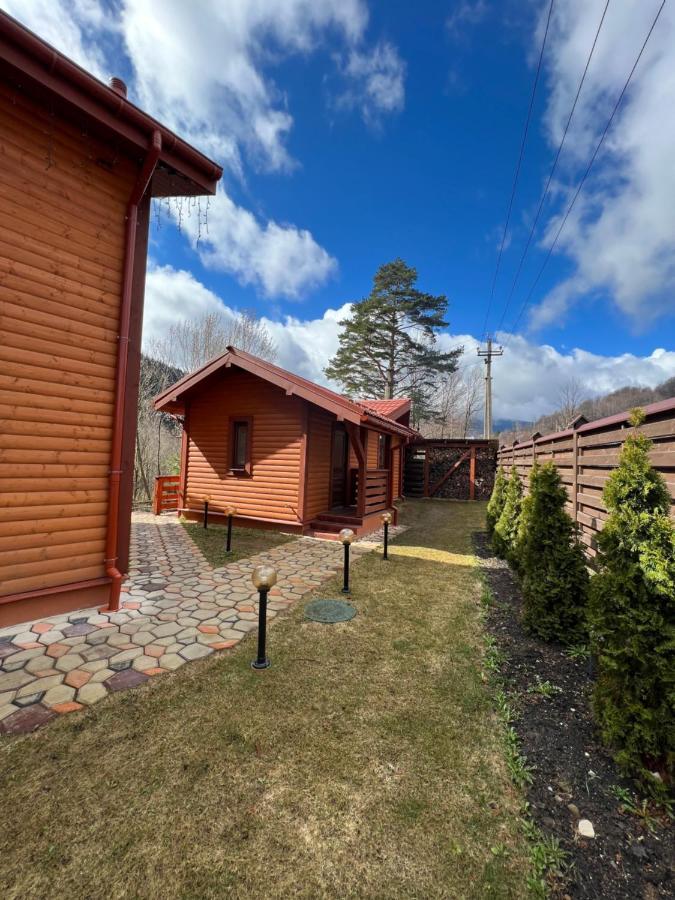 Villa Затишна De Luxe Mykulychyn Luaran gambar
